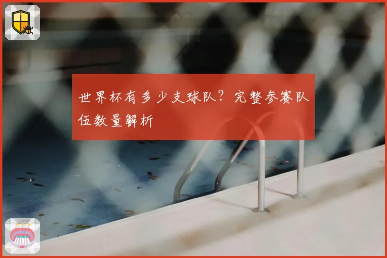 世界杯有多少支球队?完整参赛队伍数量解析
