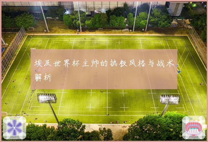 埃及世界杯主帅的执教风格与战术解析