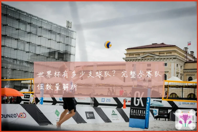 世界杯有多少支球队？完整参赛队伍数量解析